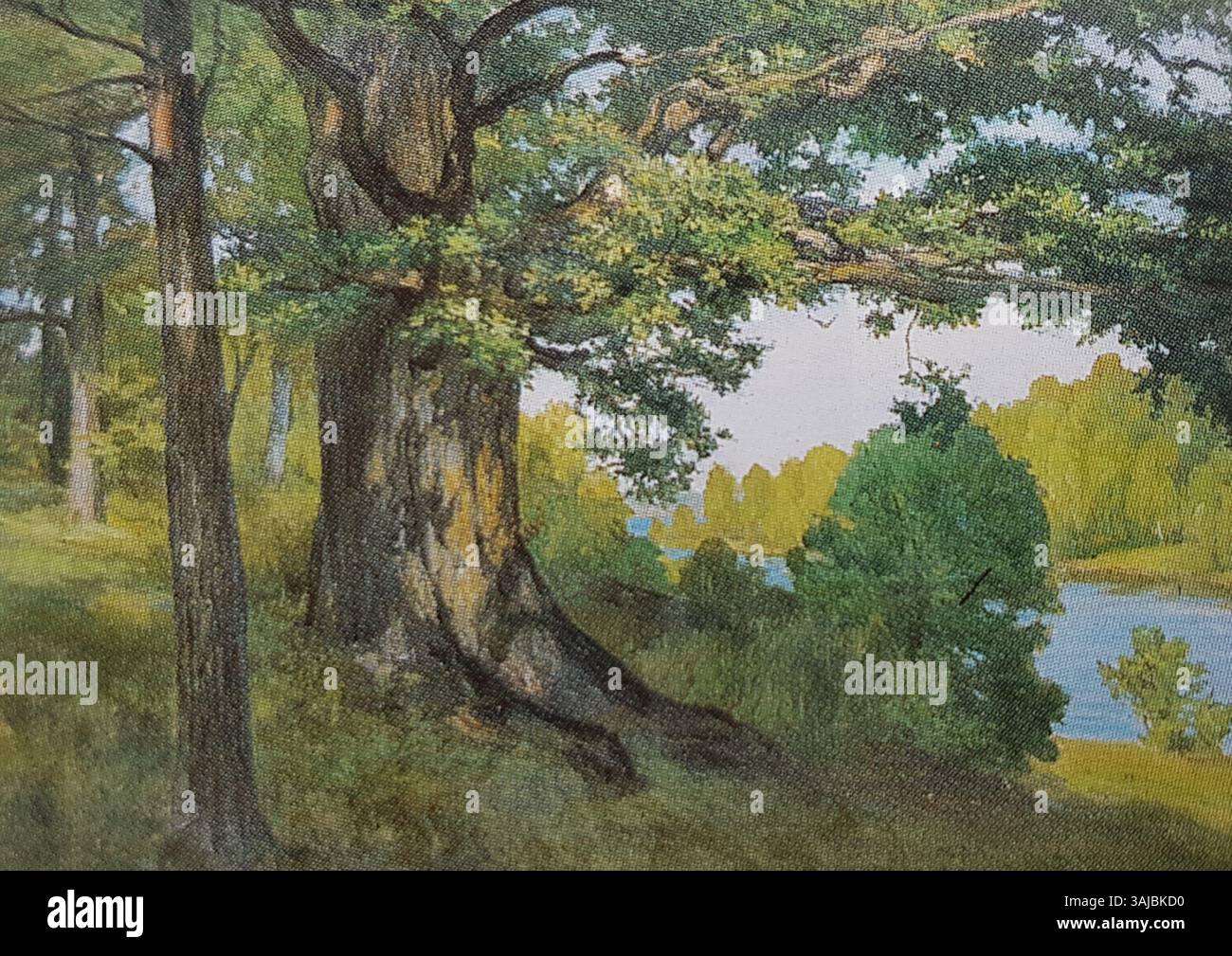 „Den stora eken“ von Oscar Björck fängt die majestätische Präsenz einer Eiche ein und veranschaulicht ihre Pracht in einer natürlichen Landschaft. Stockfoto