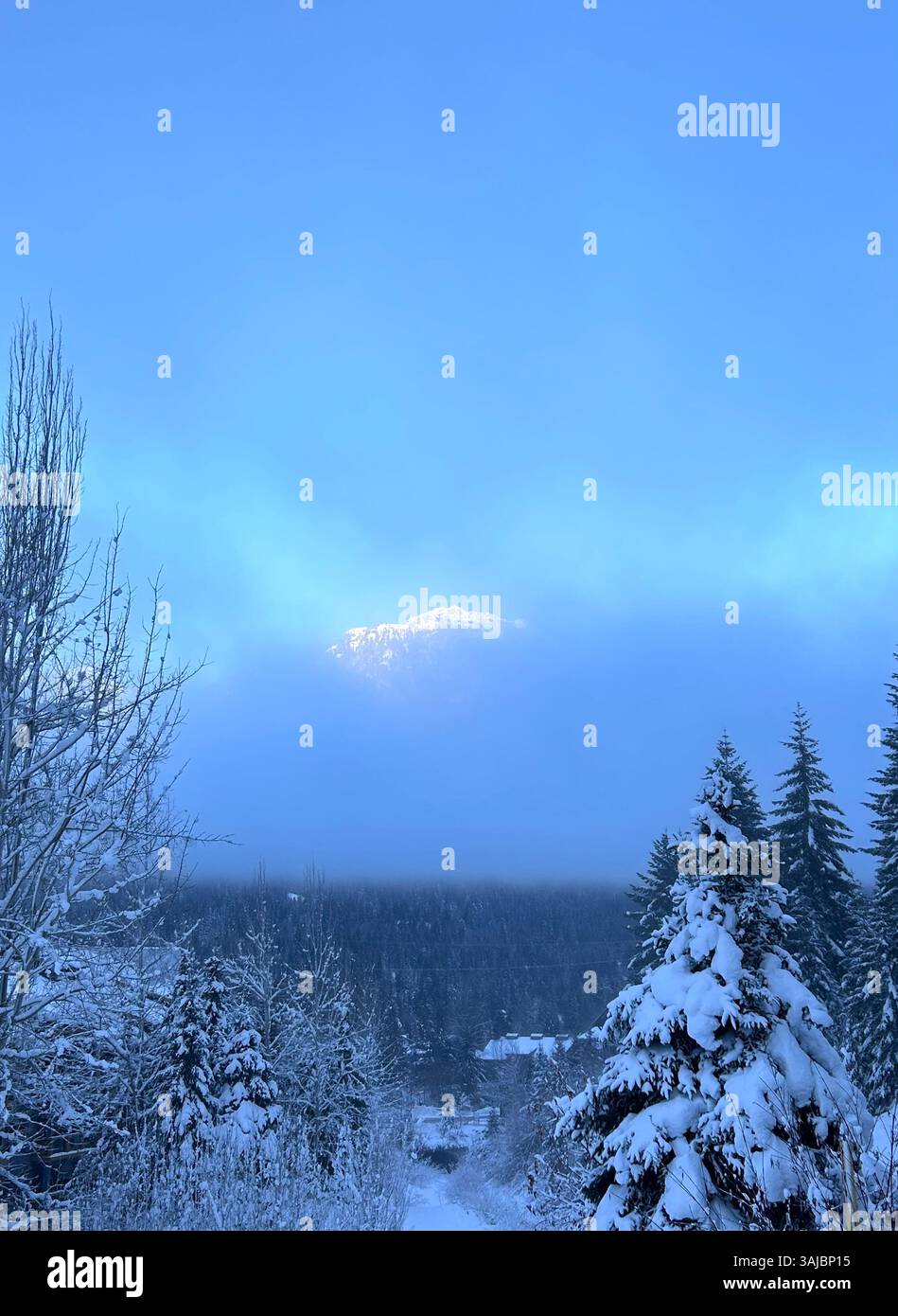 Schneebedeckter Gipfel, der aus dem Morgennebel auftaucht - Smartphone-aufgenommenes Stockfoto