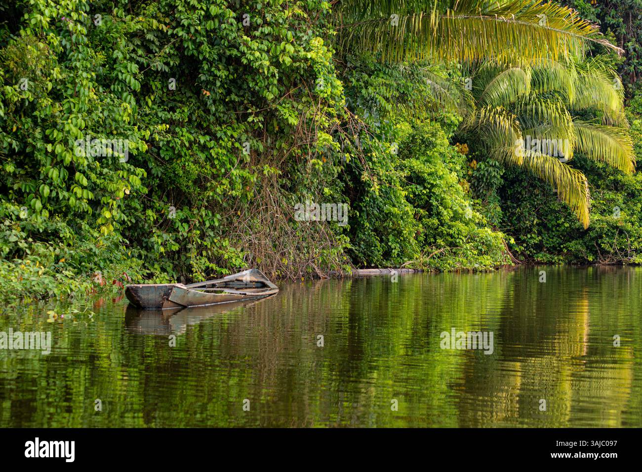 Boot strandete am Ufer des Sees Sandoval im dicken peruanischen Amazonas-Regenwald Stockfoto