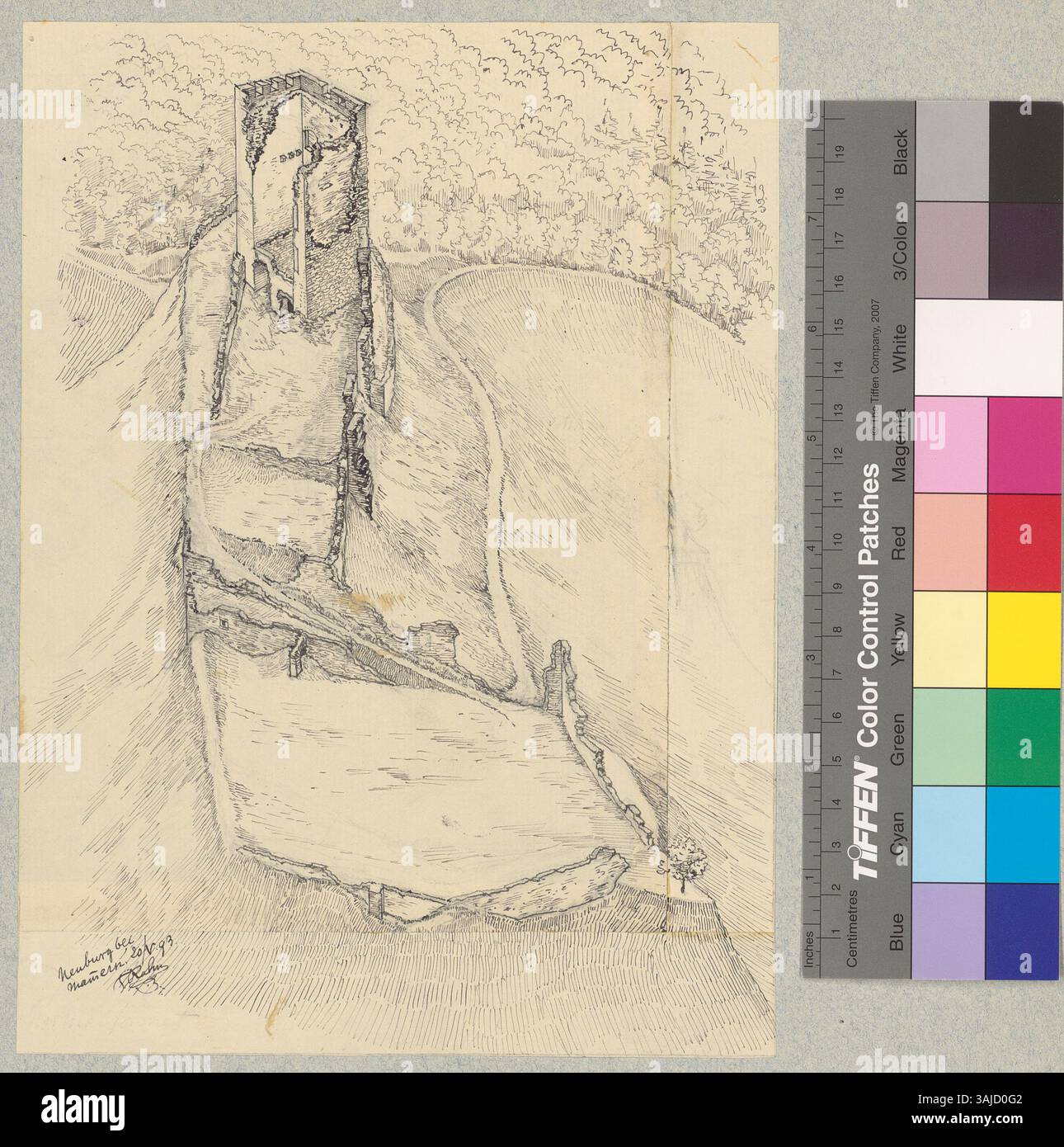 Diese 1893 von Johann Rudolf Rahn gezeigte Illustration zeigt die Außenansicht der Burgruine Neuburg in Mammern, Schweiz. Stockfoto