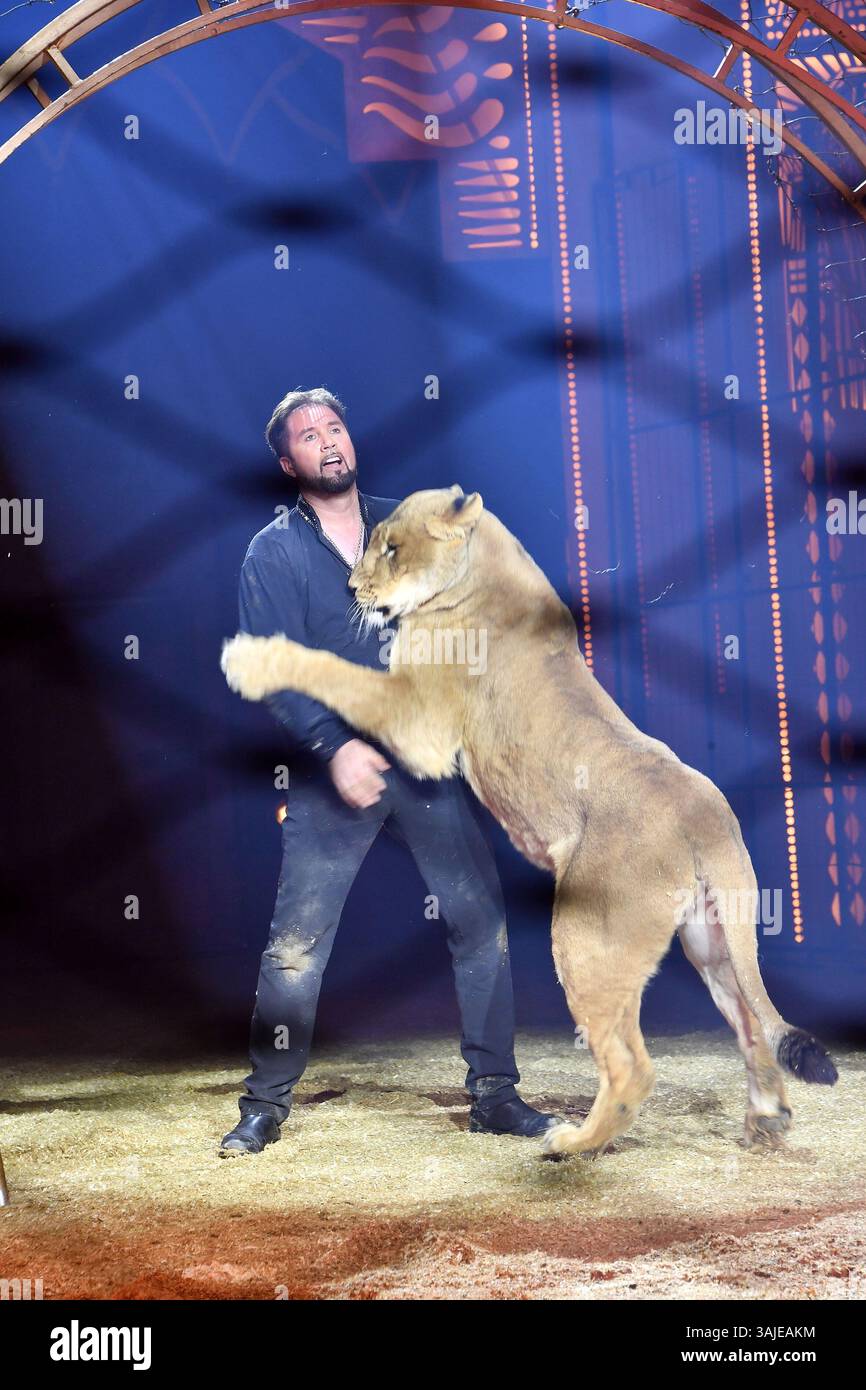 Martin Lacey Jr. mit einer Loewin in der Manege bei der Circus Krone „Farbenspiel - Gold Edition“ Premiere am 10.04.2025 in München Stockfoto