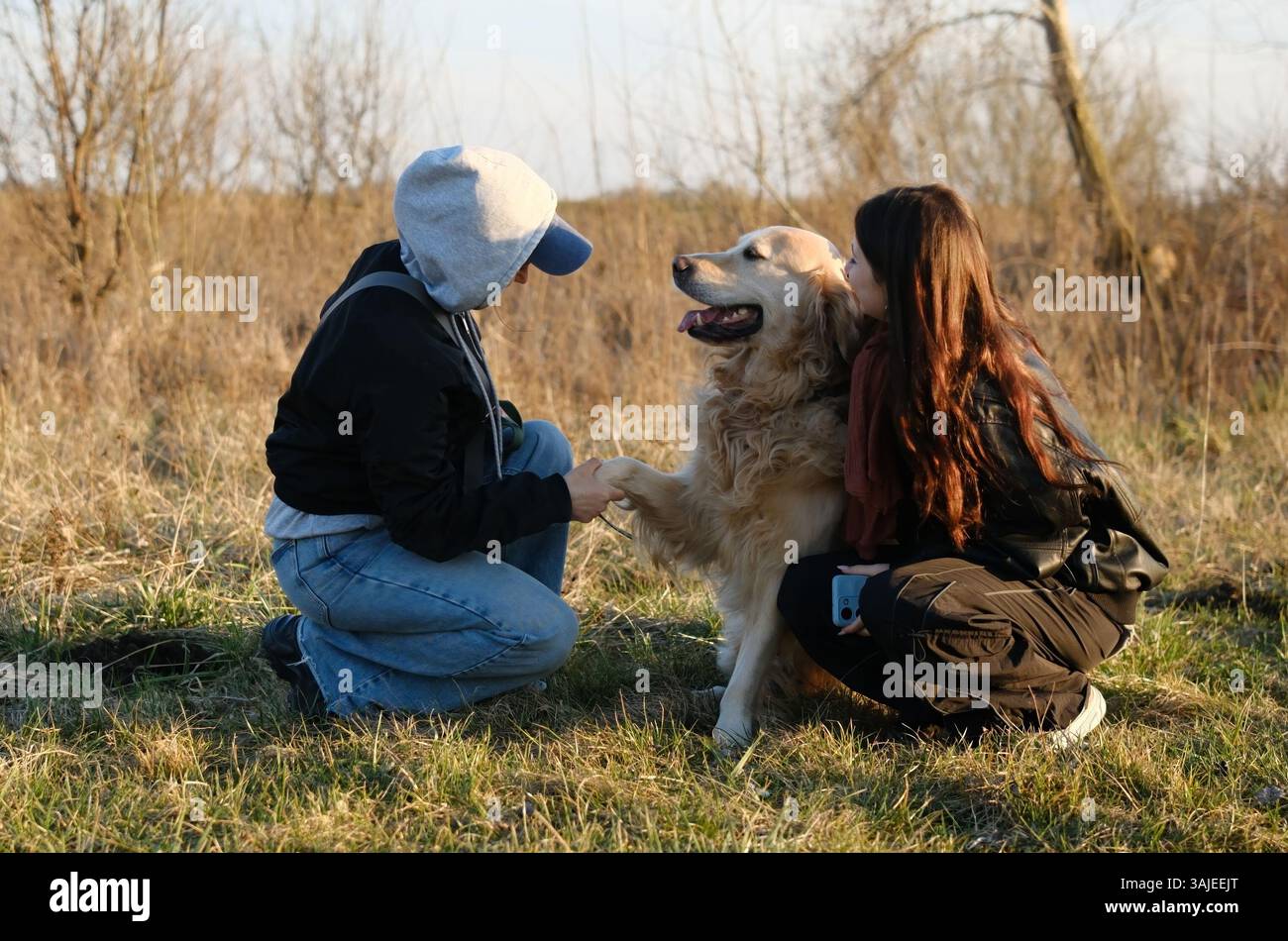 Mädchen im Freien bitten den niedlichen Golden Retriever Dog, Eine Paw zu geben Stockfoto