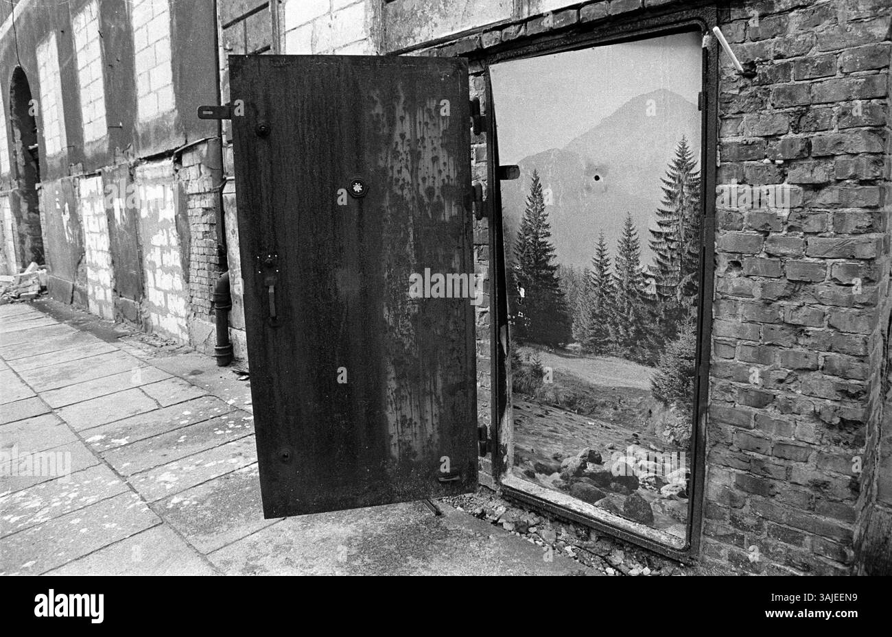 Die Welt hinter der Mauer..., (Tür in der Linienstraße...), Tapete an einer Wand, hinter einer Tür, DEU, Berlin-Mitte, 11.12.1991, [automatisierte Übersetzung] Stockfoto