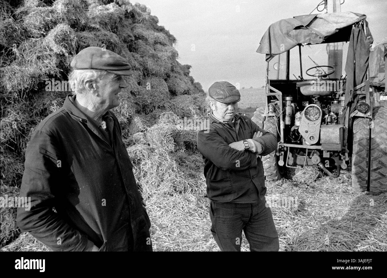 Gespräch, Bauern und Traktor, bei einer Weinberg-Vermietung, LPG Severin, Severin, 25.04.1988, [automatisierte Übersetzung] Stockfoto
