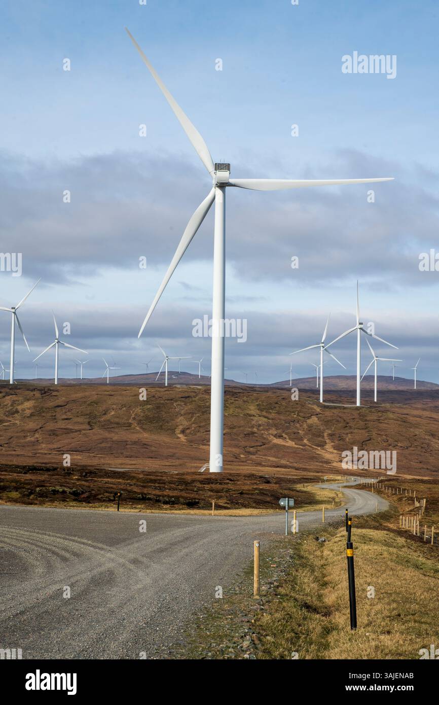 Viking Wind Farm, bestehend aus 103 Windturbinen, die von SSE ab 2020 auf dem Shetland-Festland gebaut und 2024 fertiggestellt wurden Stockfoto