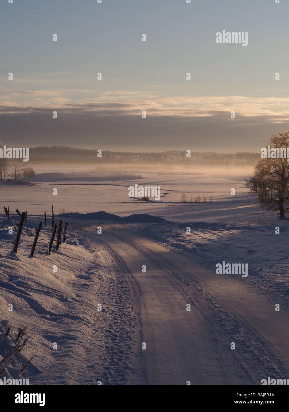 Winter Schneelandschaft auf dem Land mit Feldern und Wald Stockfoto