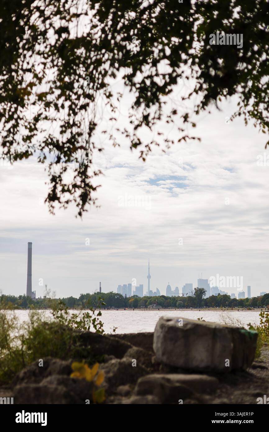 Blick auf die Skyline von Toronto und CN Tower vom Balmy Beach Park Stockfoto