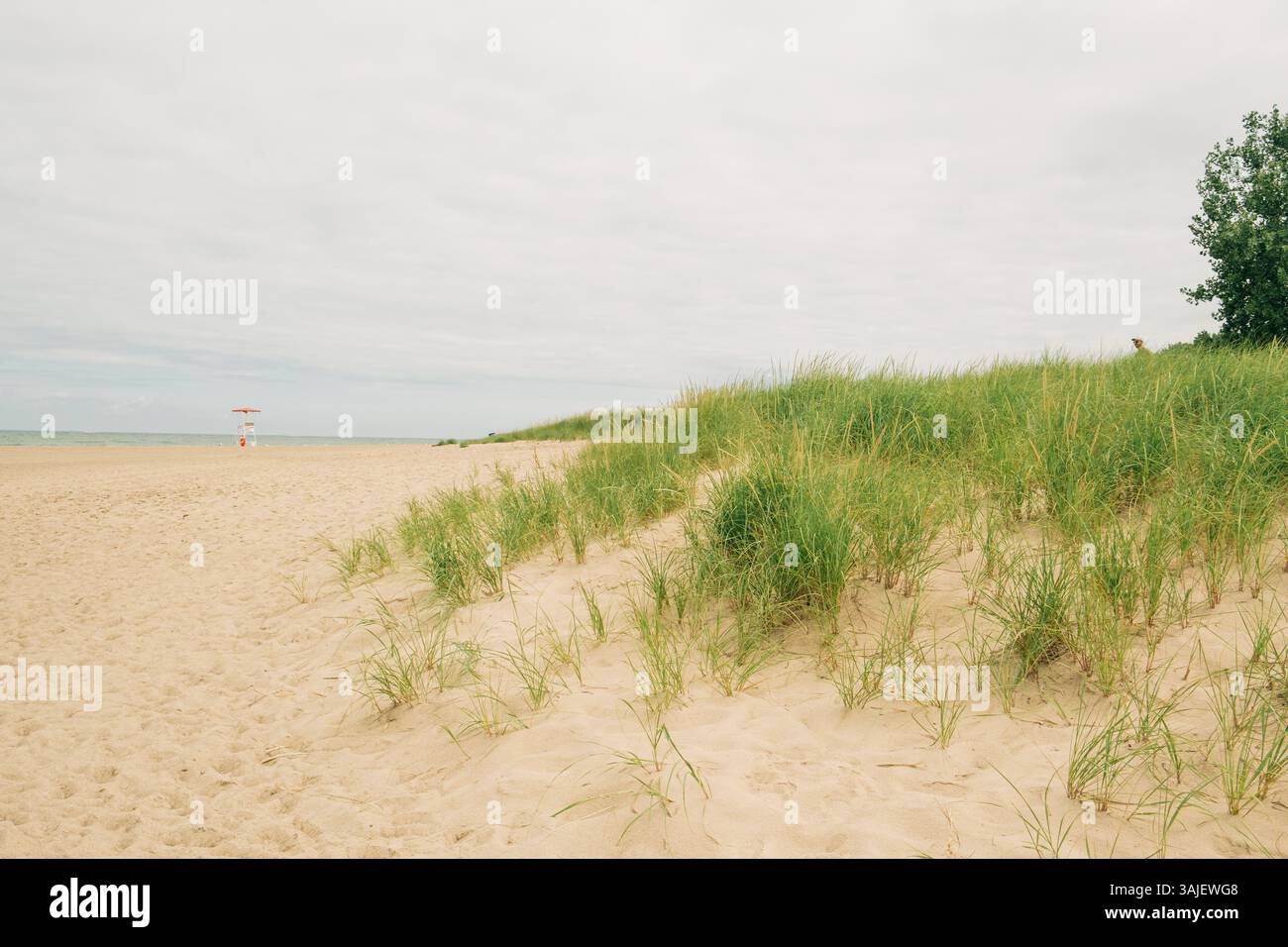 Entspannende Strandlandschaft mit grasbewachsenen Dünen und bewölktem Himmel Stockfoto