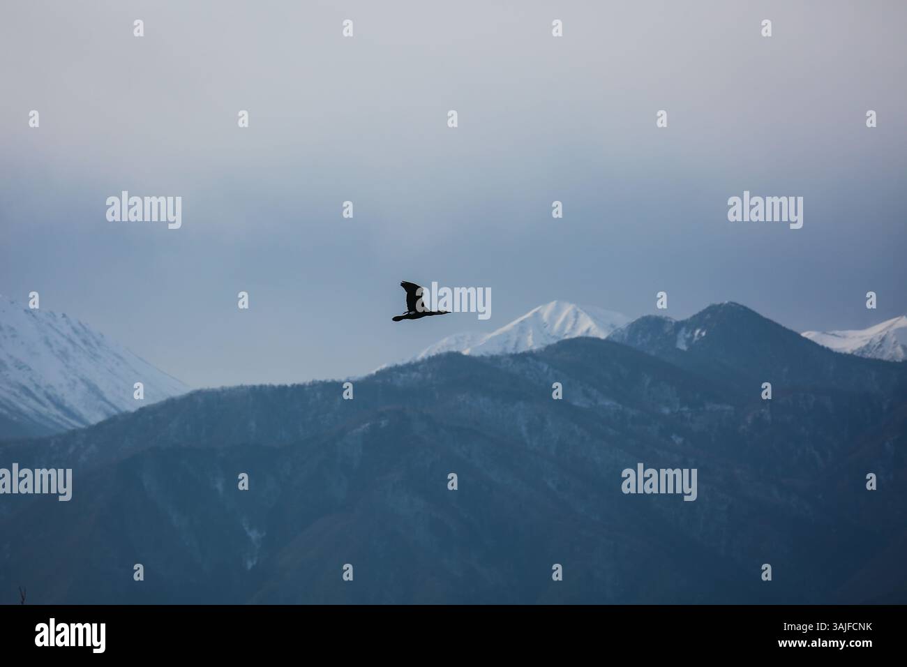 Die Nordjapanischen Alpen Stockfoto
