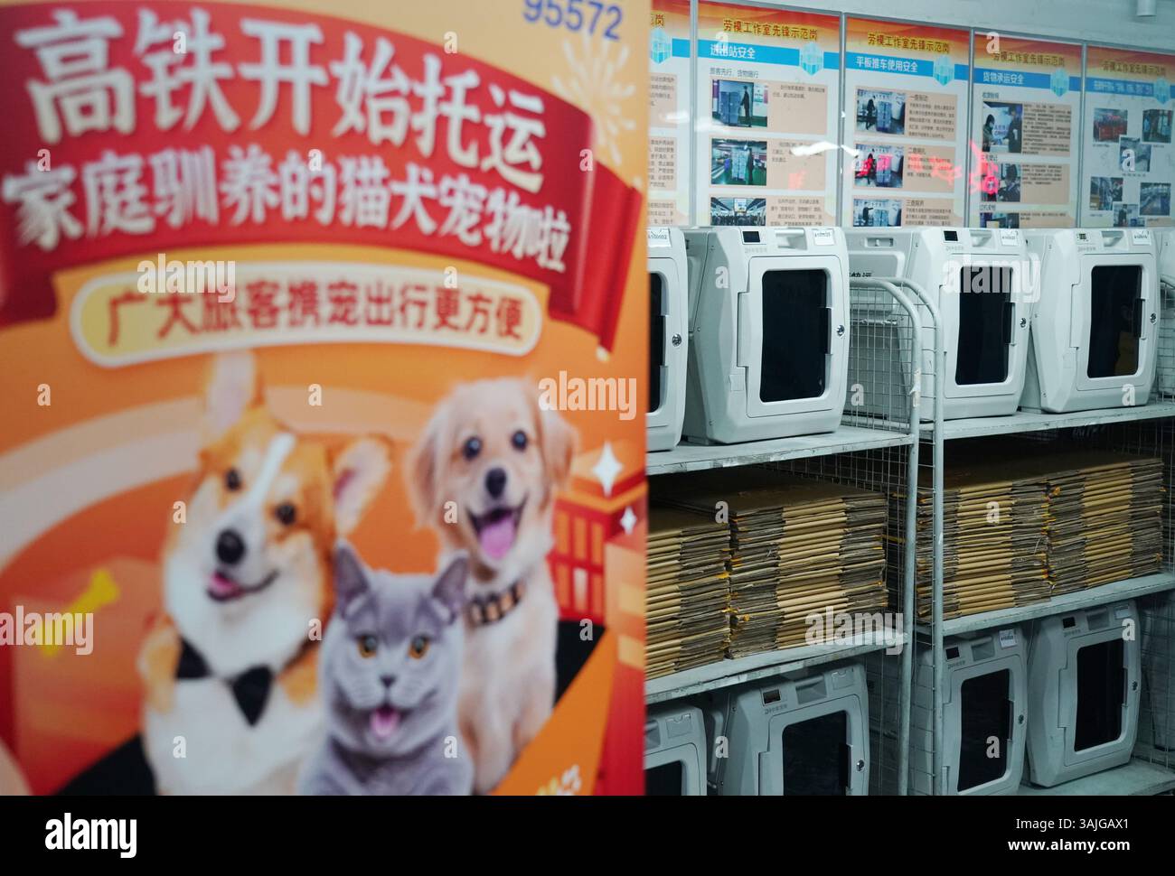 (250411) -- PEKING, 11. April 2025 (Xinhua) -- dieses am 10. April 2025 aufgenommene Foto zeigt Transportkoffer für Haustiere mit Luftzirkulation, Geräuschreduzierungs- und Desodorierungsfunktionen sowie Sauerstoff-, Temperatur- und Feuchtigkeitssensoren in Peking, der Hauptstadt Chinas. Ab Dienstag starteten 10 ausgewiesene Züge, die zwischen fünf Bahnhöfen in Peking, Jinan, Nanjing, Shanghai und Hangzhou entlang der Peking-Shanghai Hochgeschwindigkeitsbahn verkehrten, einen Pilotendienst für Haustierzubehör, der es qualifizierten Hauskatzen und Hunden ermöglicht, mit ihren Besitzern einzusteigen und während der Reise besondere Betreuung zu erhalten. Pas Stockfoto