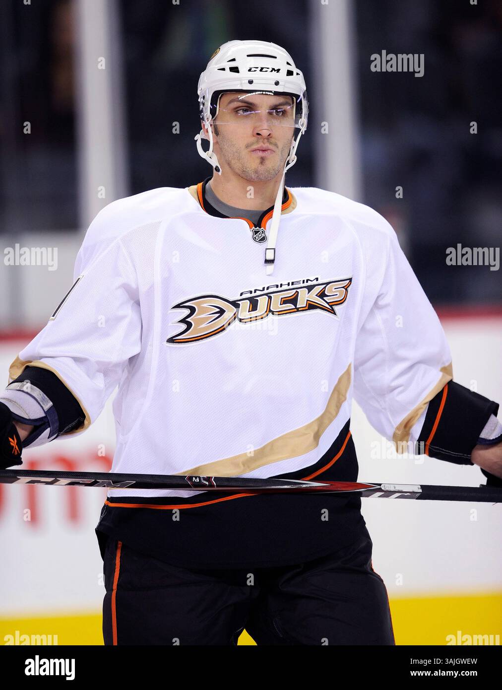 11. Februar 2011 - Calgary, Alberta, Kanada - Foto des NHL-Spielerprofils auf Maxim Lapierre von Anaheim Ducks während eines Spiels in Calgary. (Foto: © Larry MacDougal via ZUMA Wire) Stockfoto