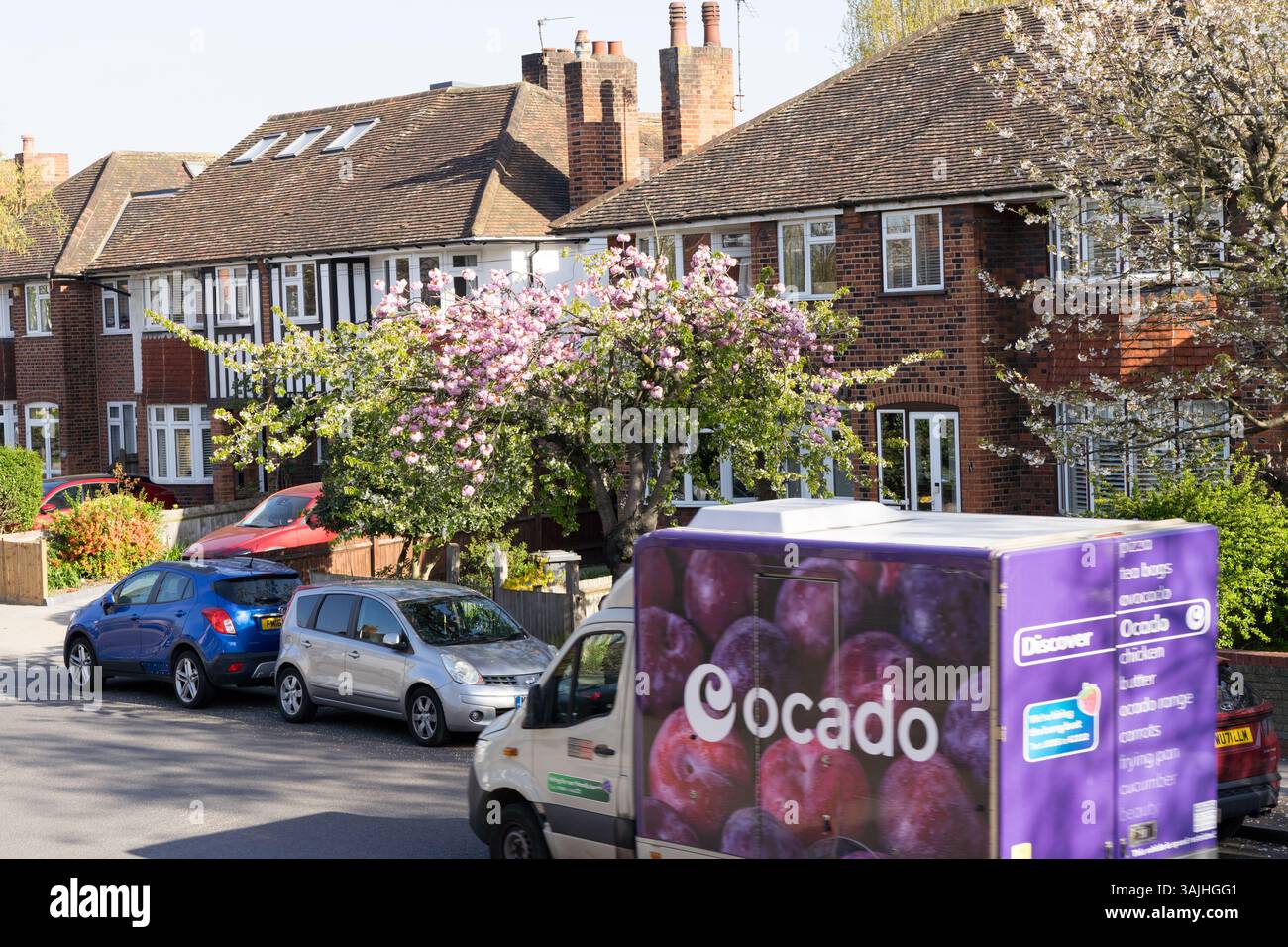 London Greenwich, Großbritannien. April 2025. Wetter in Großbritannien: Sonnenstrahl im Frühling auf der weißen und rosa Kirschblüte Straße, Lieferwagen von Ocado, der Lebensmittel zu Londoner Haushalten liefert. Quelle: Glosszoom/Alamy Live News Stockfoto