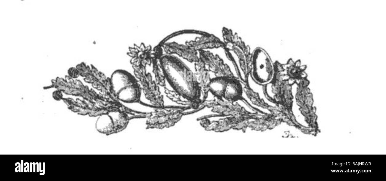 Dieser Stich von Edouard Aubert zeigt ein Fragment einer Krone aus der Sammlung Prieur Gal im Museum der Akademie von Saint-Anselme, Aosta. Das Kunstwerk konzentriert sich auf das komplizierte Design des Kronenfragments. Stockfoto