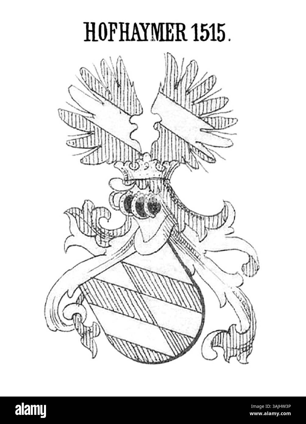 Wappen des Hofhaimers, datiert 1515, von Moritz Maria Weittenhiller im Jahr 1883 geschaffen. Dieses heraldische Emblem repräsentiert die Familie Hofhaimer mit reichen historischen Details und Symbolismus. Stockfoto