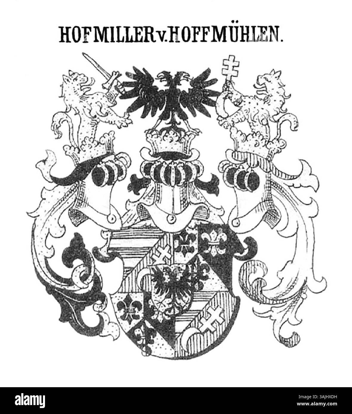 Wappen des Hofmillers von Hoffmühlen, geschaffen von Moritz Maria Weittenhiller im Jahre 1883. Dieses Familienwappen spiegelt die Adelsgeschichte der Familie Hofmiller von Hoffmühlen mit reicher heraldischer Symbolik wider. Stockfoto