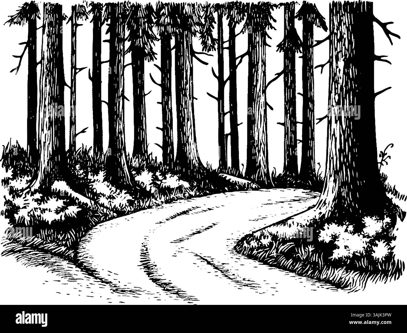 Ein gewundener Pfad durch einen dichten Wald, umgeben von hohen Bäumen und Unterholz. Die Szene ist in einem schwarz-weißen Skizzenstil dargestellt, der die natürlichen Strukturen der Rinde und des Laubs betont. Stock Vektor