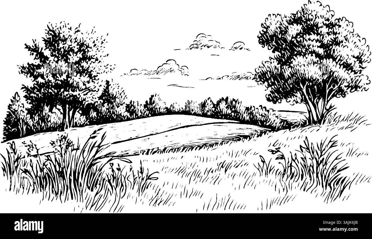 Eine ruhige Landschaft mit sanften Hügeln, Bäumen und einem bewölkten Himmel. Im Vordergrund befinden sich hohes Gras und Wildblumen, die eine friedliche Naturlandschaft schaffen. Stock Vektor