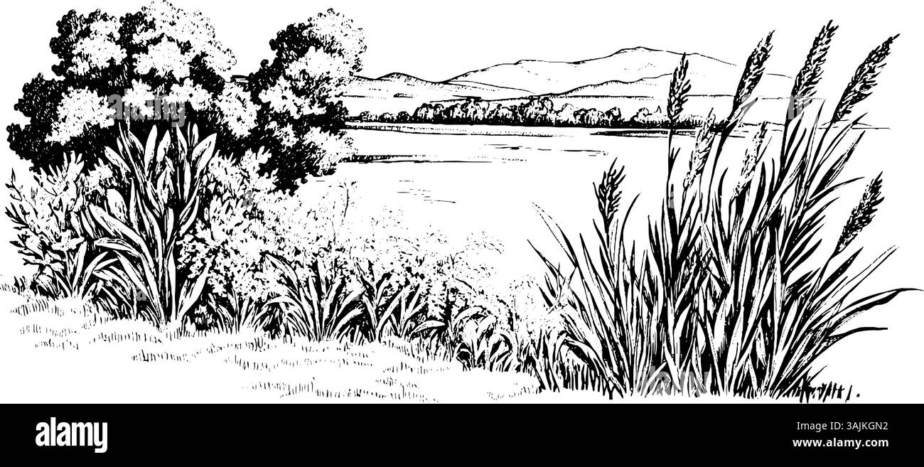 Eine ruhige Landschaftsillustration mit hohen Gräsern und Büschen im Vordergrund, mit einem ruhigen Gewässer und fernen Bergen im Hintergrund. Stock Vektor