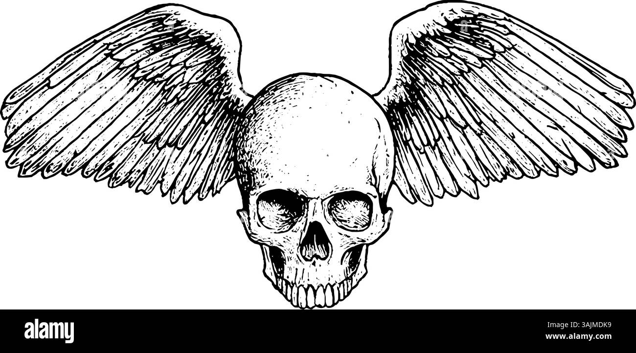 Eine detaillierte Abbildung eines Schädels mit großen, gefiederten Flügeln, die von beiden Seiten ausragen. Der Schädel ist zentriert und die Flügel sind aufwändig gestaltet und zeigen individuelle Federn. Der Gesamtstil erinnert an Vintage-Tattookunst oder gotisches Design. Stock Vektor