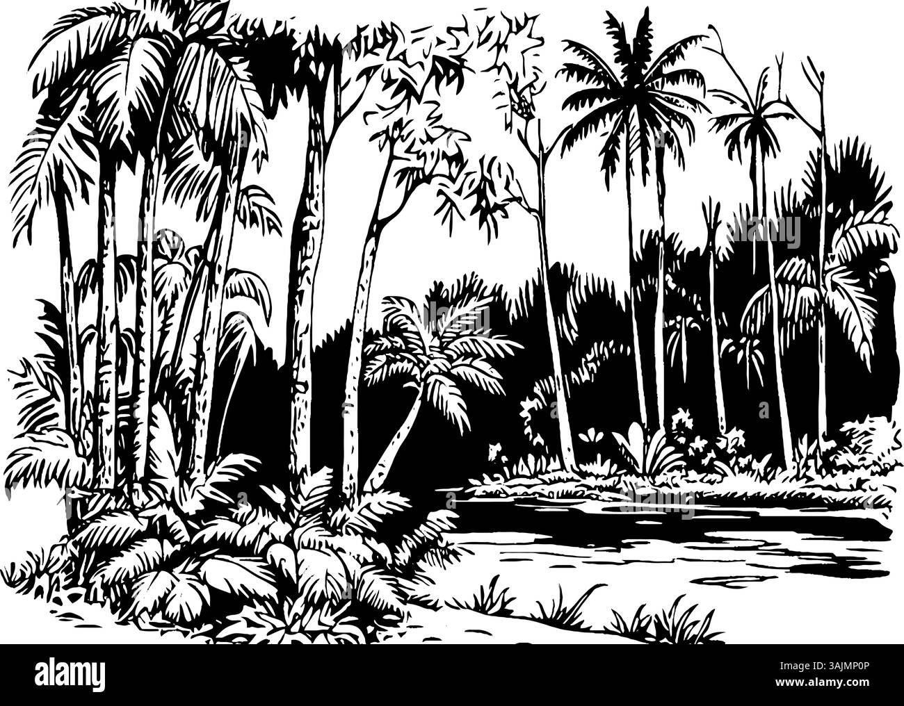 Eine Schwarzweiß-Illustration einer tropischen Landschaft mit hohen Palmen, üppiger Vegetation und einem ruhigen Gewässer. Die Szene fängt das Wesen einer ruhigen Dschungelumgebung ein. Stock Vektor