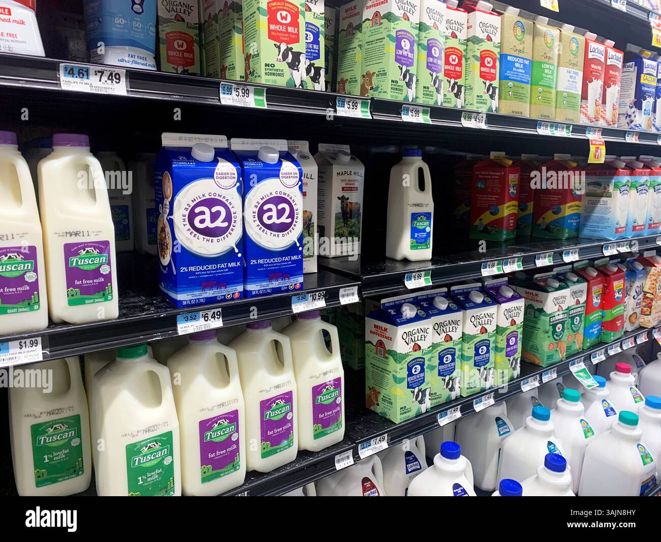 Milchabteilung im Lebensmittelgeschäft, Brooklyn, New York, USA Stockfoto