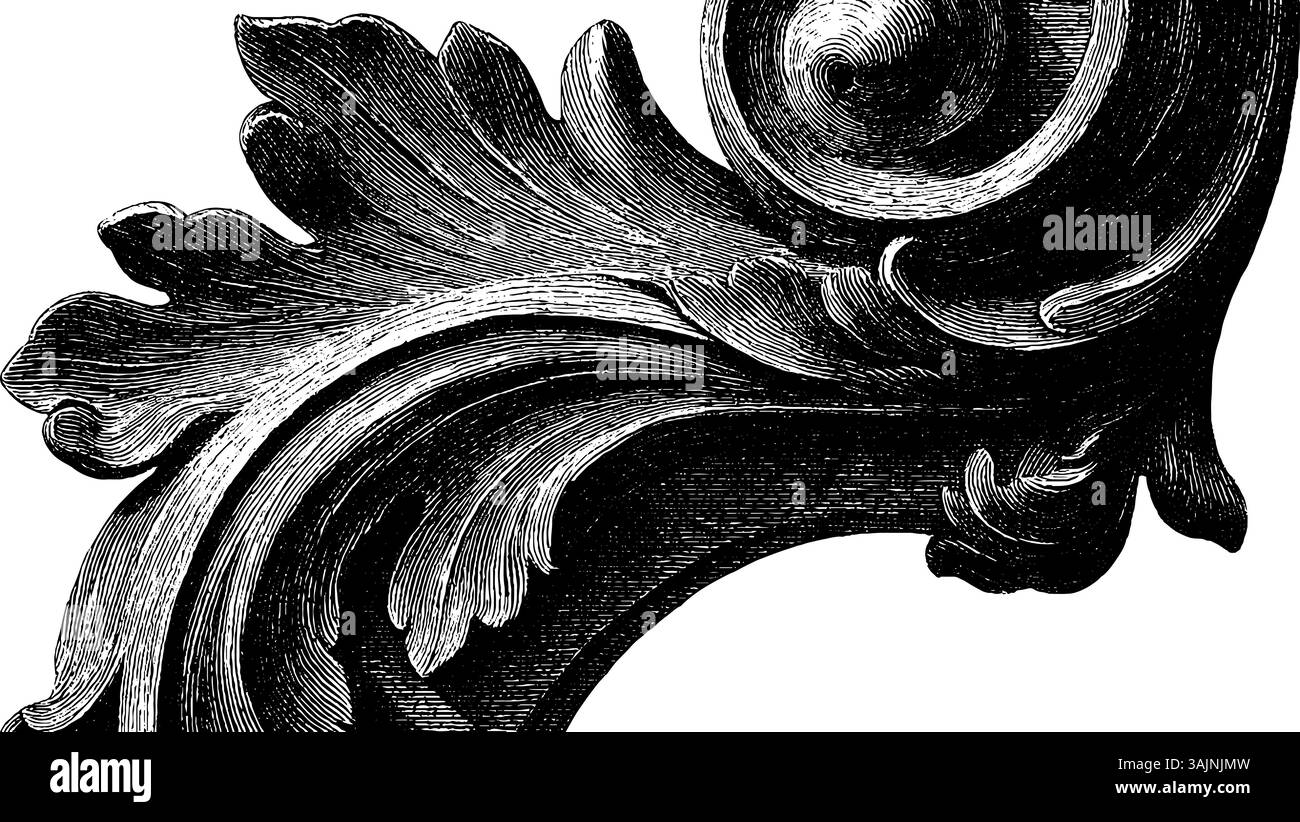 Elegantes Vintage-Blumendesign mit raffinierten Schnitzereien. Stock Vektor