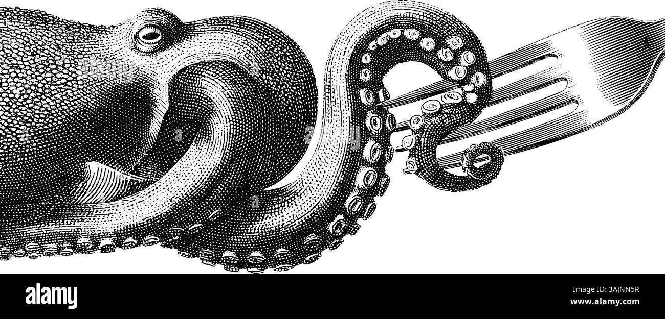 Illustration komplizierter Kraken mit Gabel: Detaillierte Tentakel und kompliziertes Design. Stock Vektor