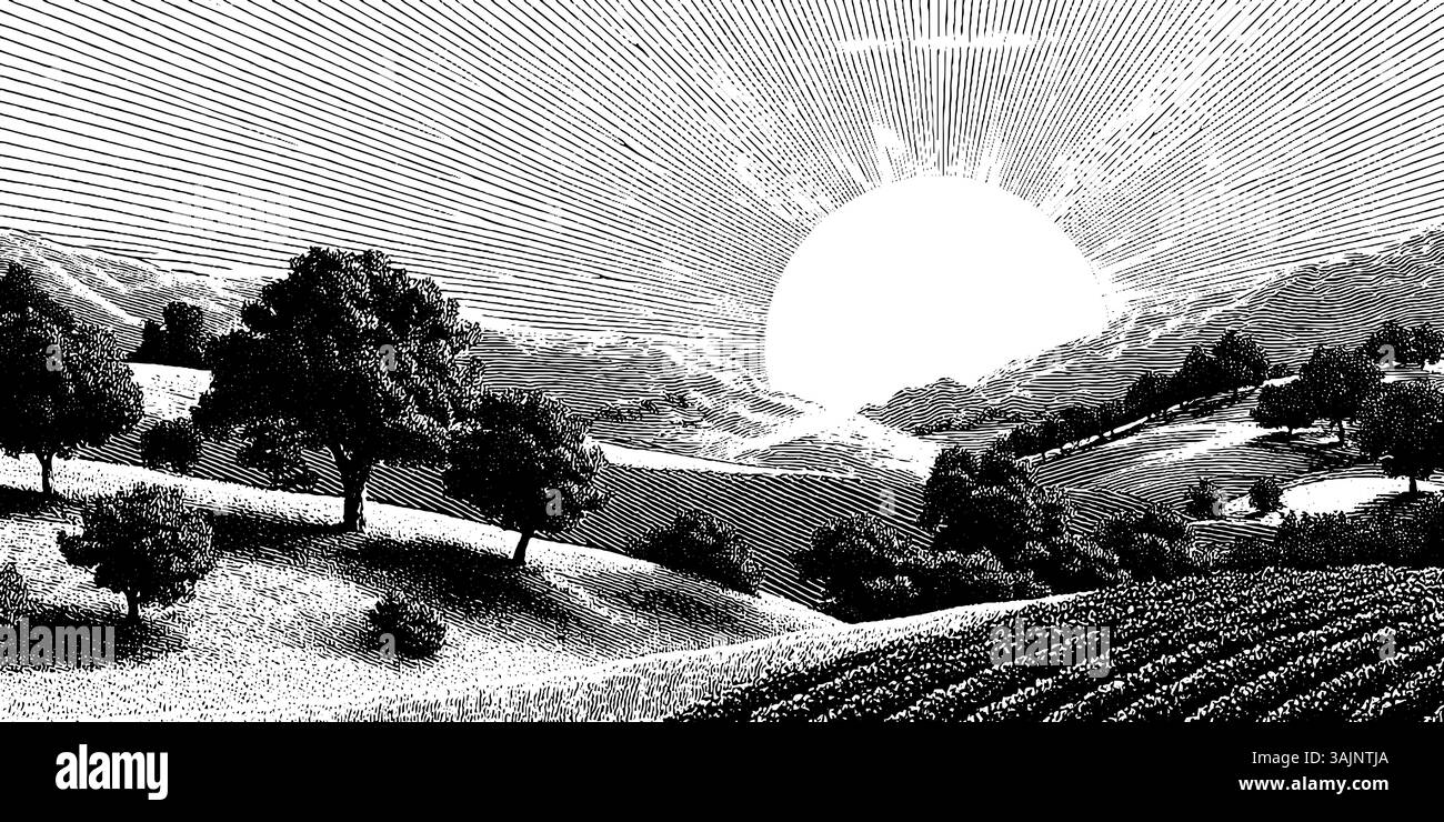 Dramatische Schwarzweiß-Gravur der sonnendurchfluteten Landschaft mit sanften Hügeln und Bäumen. Stock Vektor