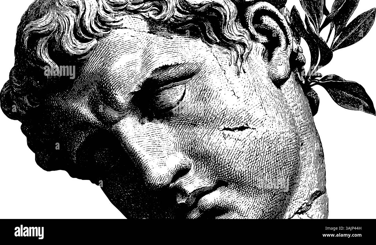 Detailstich klassischer griechischer Skulptur mit Lorbeerblättern. Stock Vektor