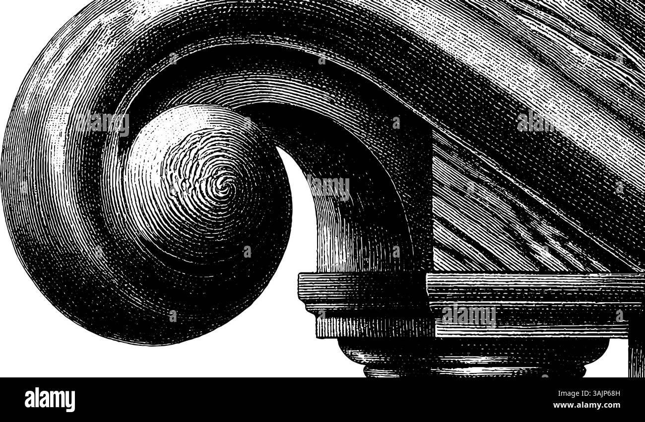 Detaillierte Gravur der Ionensäule mit Rolldesign. Stock Vektor