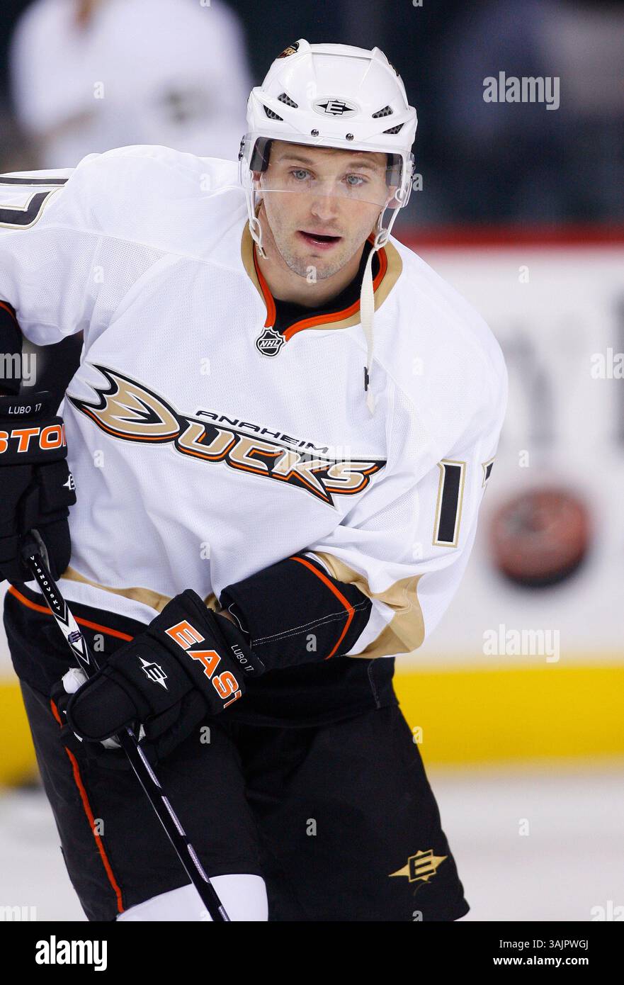 März 2010 - Calgary, Alberta, Kanada - Foto des NHL-Spielerprofils von Anaheim Ducks' Lubomir Visnovsky aus der Slowakei während eines Spiels in Calgary. (Foto: © Larry MacDougal via ZUMA Wire) Stockfoto
