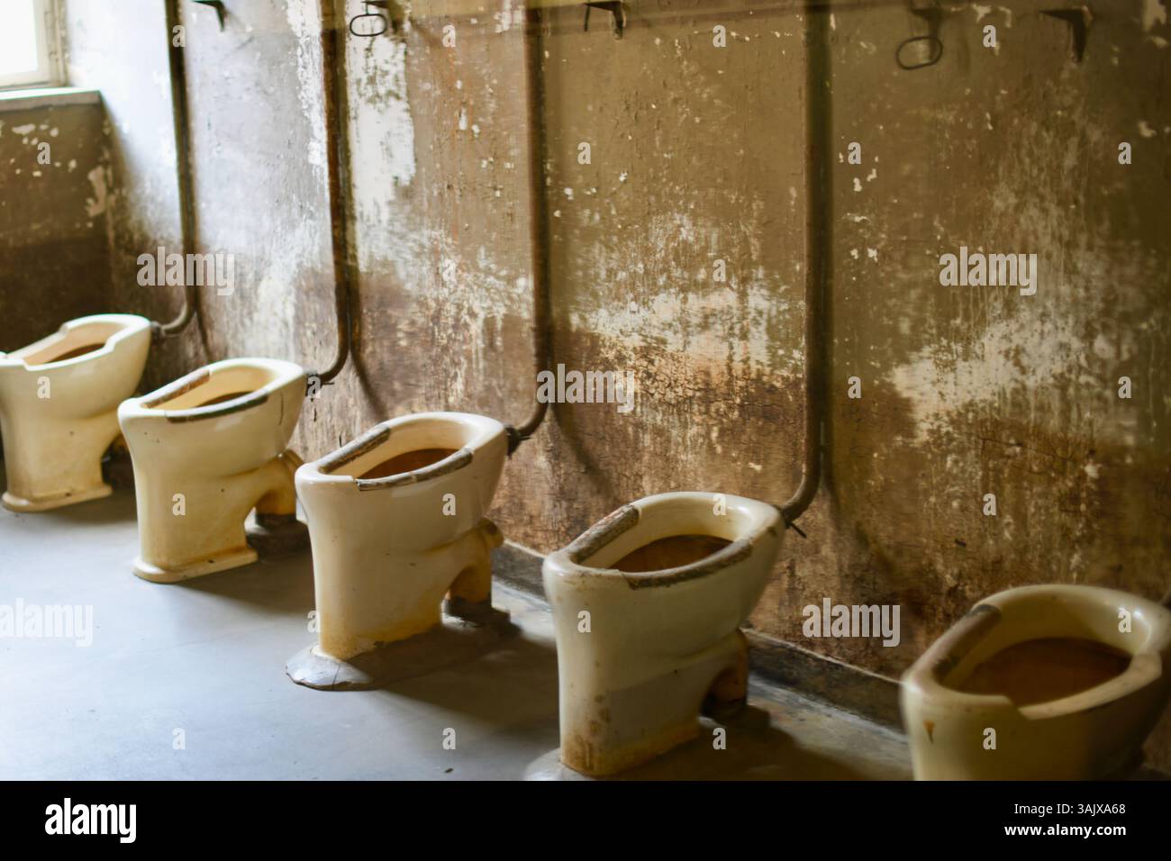 Staatliches Museum Auschwitz-Birkenau, Polen Stockfoto