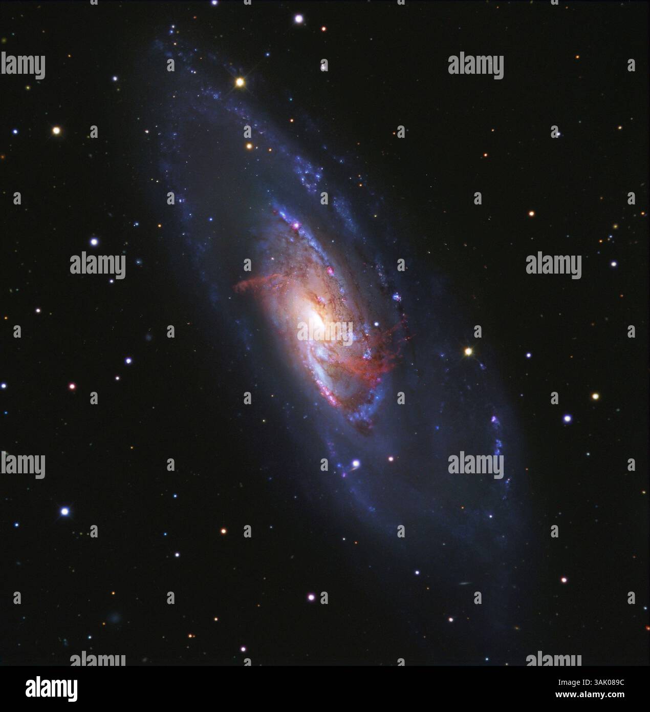 Spiralgalaxie M106 NGC 4258), Verbundbild. Diese Galaxie misst 30.000 Lichtjahre und liegt 25 Millionen Lichtjahre von der Erde entfernt, nahe dem Sternbild Canes Venatici. Dieses Bild ist eine Kombination aus Daten des Hubble Space Telescope und des West Mountain Observatory in Utah, USA. Stockfoto