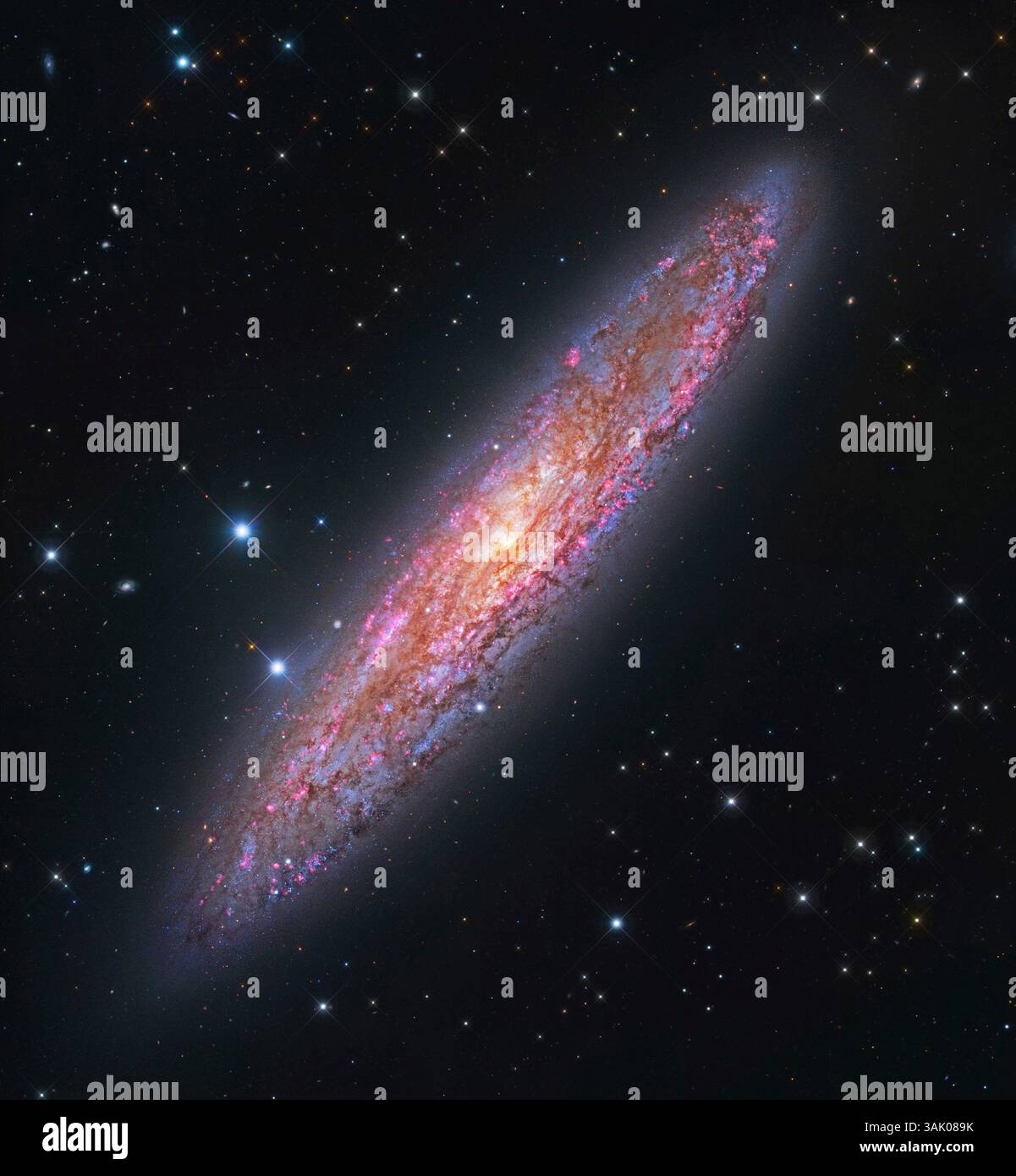 Bildhauer Galaxy (NGC 253), zusammengesetztes Bild. Diese Spiralgalaxie misst etwa 70-80.000 Lichtjahre und liegt 11 Millionen Lichtjahre von der Erde entfernt im Sternbild Bildhauer. Sie gehört zu den nächstgelegenen Galaxien der lokalen Gruppe, die unsere Galaxie enthält. NGC 253 ist eine Sternengalaxie mit sehr starker Sternentstehung und sehr staubigen Spiralarmen. Dieses Bild kombiniert Daten des Hubble Space Telescope und des Subaru Telescope des Nationalen Astronomischen Observatoriums Japans (NAOJ). Stockfoto