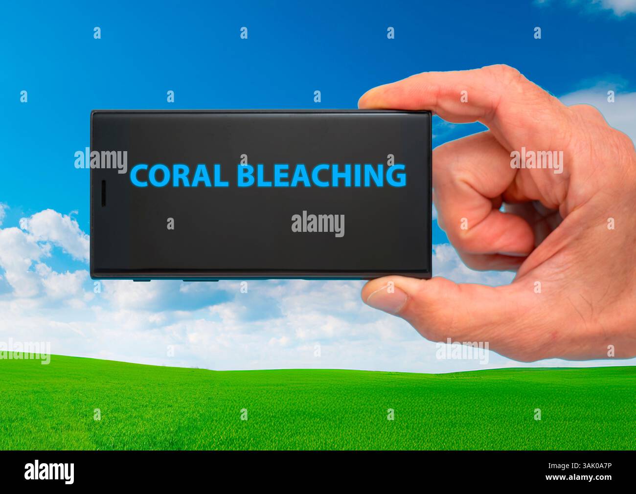 Korallenbleiche. Stressbedingte Ausstoßung symbiotischer Algen aus Korallen, die die Riffe gefährden. Stockfoto