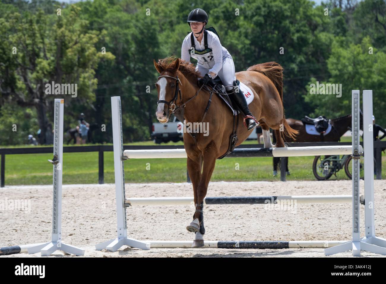Jamie Kellock springt mit ihrem Pferd über einen Zaun bei den Rocking Horse Spring Horse Trials in den Rocking Horse Stables in Alatoona, Florida. (USA) Stockfoto
