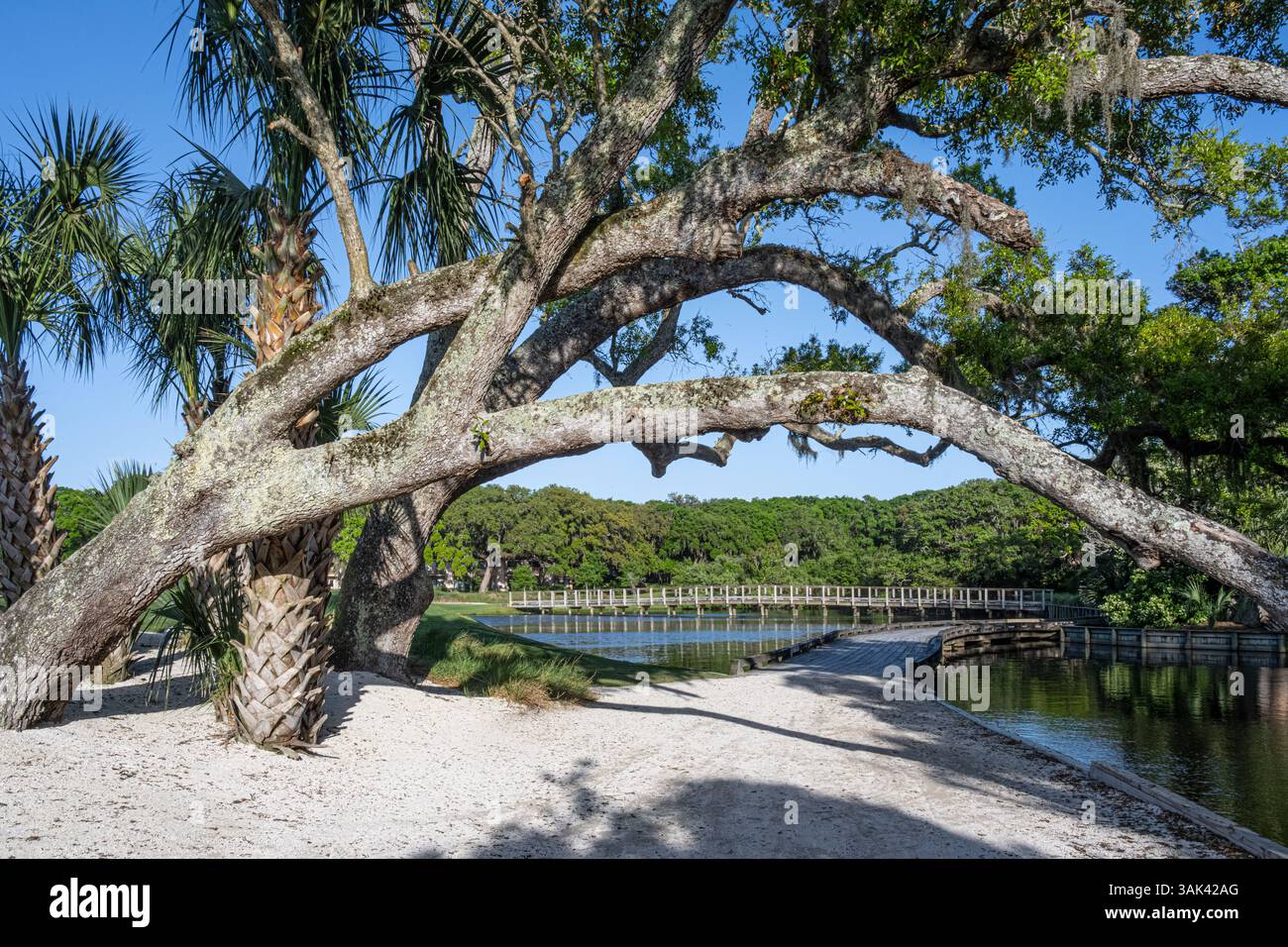 Little Sandy Short Course, Omni Amelia Island Resort, Amelia Island, Florida. (USA) Stockfoto