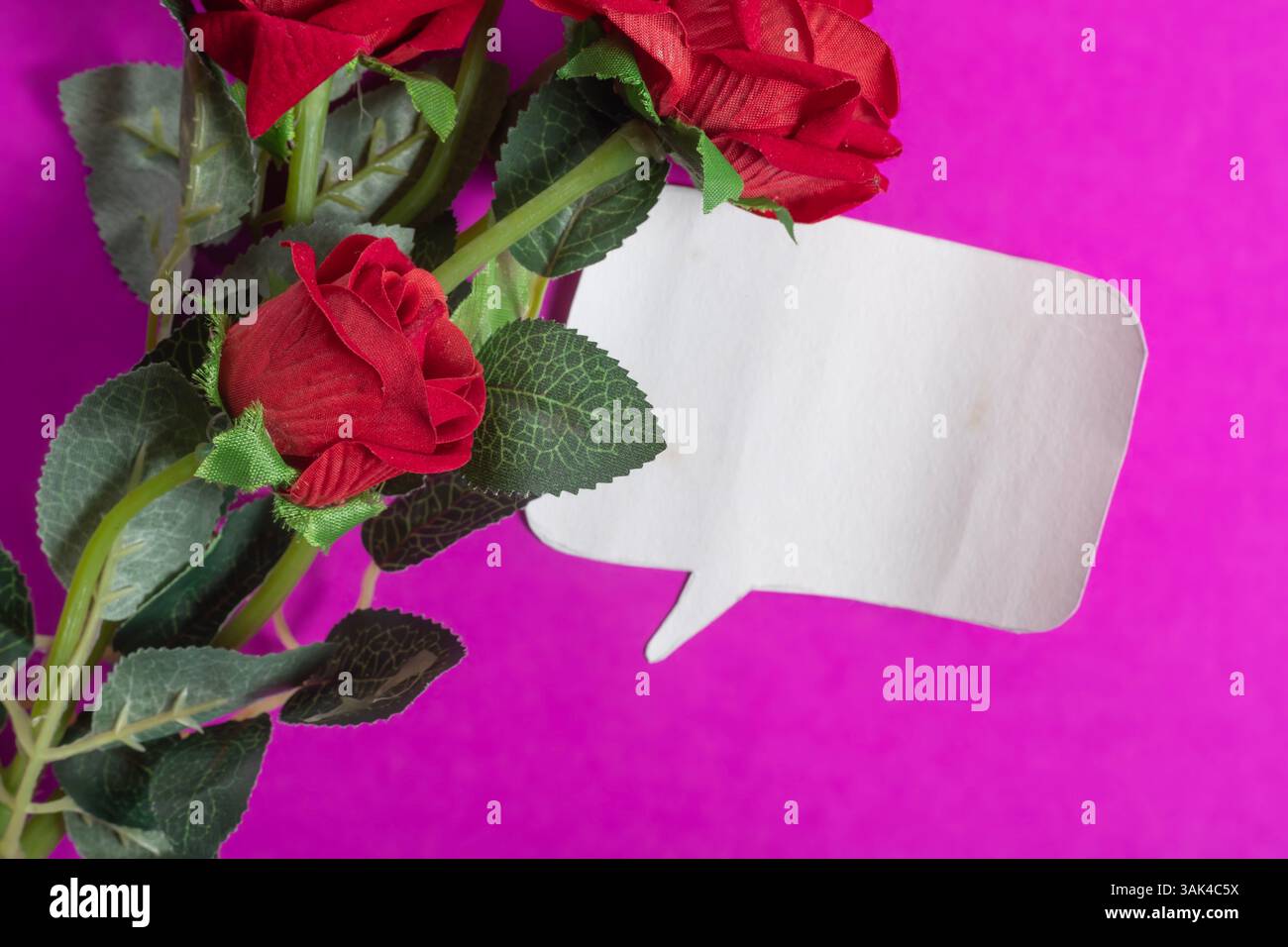 Künstliche rote Rosen mit grünen Blättern vor einem dunkelrosa Hintergrund neben einer weißen Sprechblase repräsentieren Liebesausdrücke und Emotionen oder Stockfoto
