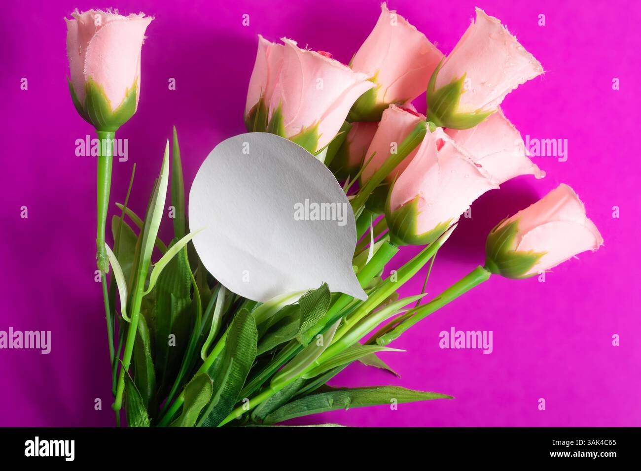 Rosafarbene Rosen mit grünen Blättern, in einem Blumenstrauß angeordnet, mit einer leeren Note, die zur Personalisierung bereit ist, stehen vor einem auffälligen lila Hintergrund. Stockfoto