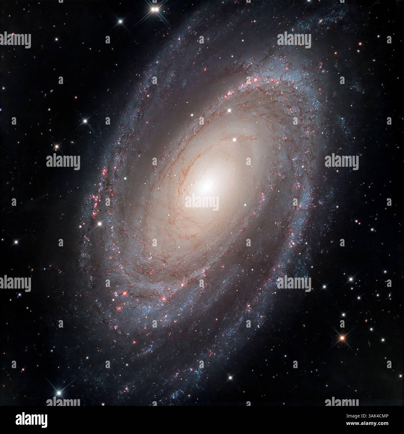 Nahaufnahme der Bode-Galaxie (Messier 81 oder NGC 3031) im Sternbild Ursa Major, 12 Millionen Kilometer von der Erde entfernt gelegen, mit einem Durchmesser von ab Stockfoto