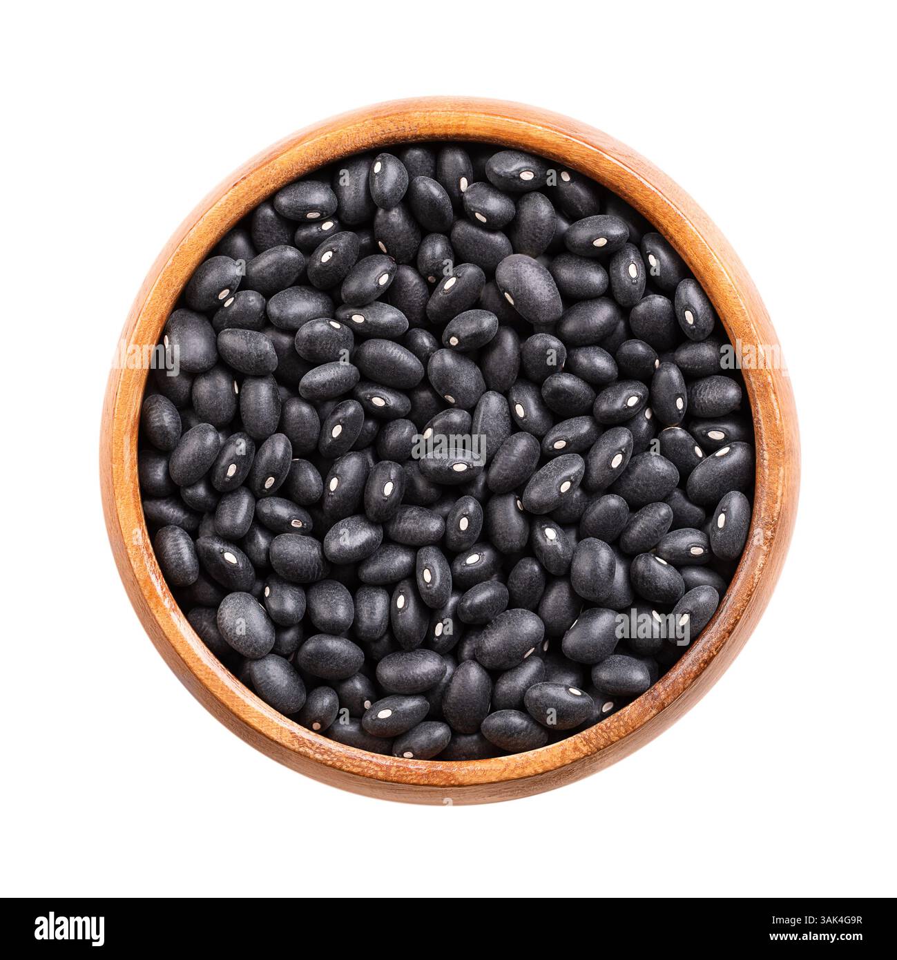 Schwarze Bohnen in einer Holzschale. Getrocknete Sorte gewöhnlicher Bohnen, Phaseolus vulgaris, auch bekannt als schwarze Schildkrötenbohnen, und Kaviar criollo. Stockfoto
