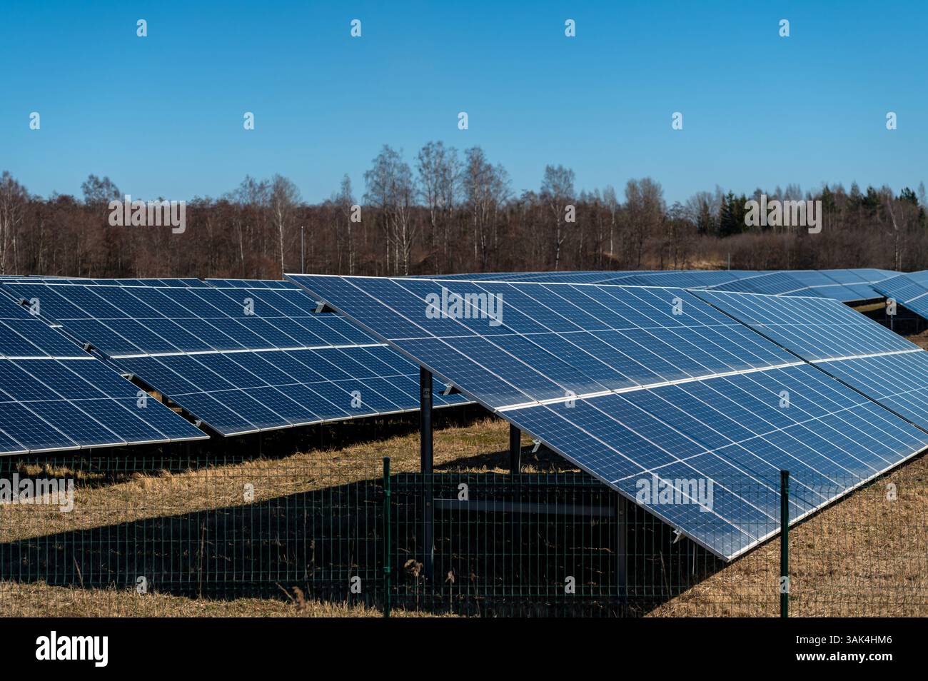 Reihen von Solarpaneelen erfassen Sonnenlicht an einem klaren Tag in einer ländlichen Umgebung. Stockfoto
