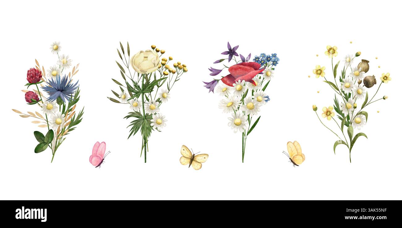 Aquarellstrauß aus wilden Blumen, Gras, Schmetterling. Illustration Mohn, Kamille, Klee, Butterblume, Kornblume, ranunkeln, tansy, Globeflower Stockfoto