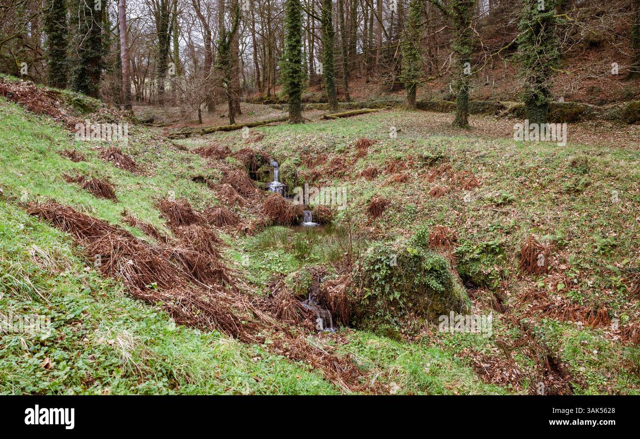 Ein Bach, der durch das Gelände von Okehampton Castle in Okehampton, Devon, England, Großbritannien fließt. Stockfoto