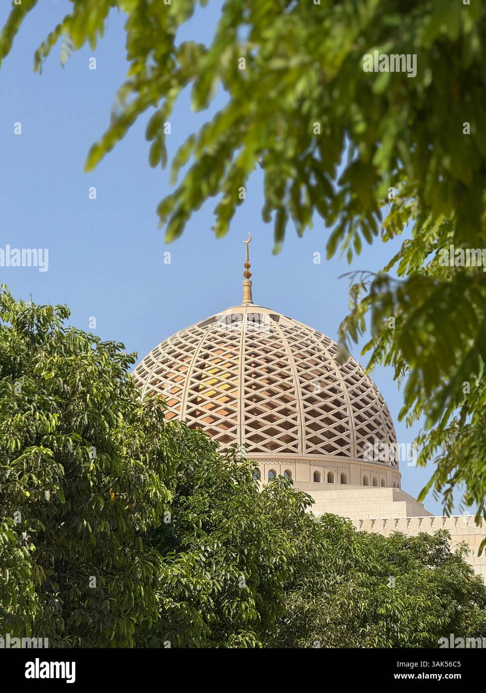 Sultan Qaboos große Moschee Kuppel durch zwei dreieckige grüne Bäume in Maskat, Oman. Tageslichtreiseszene mit natürlichen Tönen - Smartphone-aufgenommenes Stockfoto