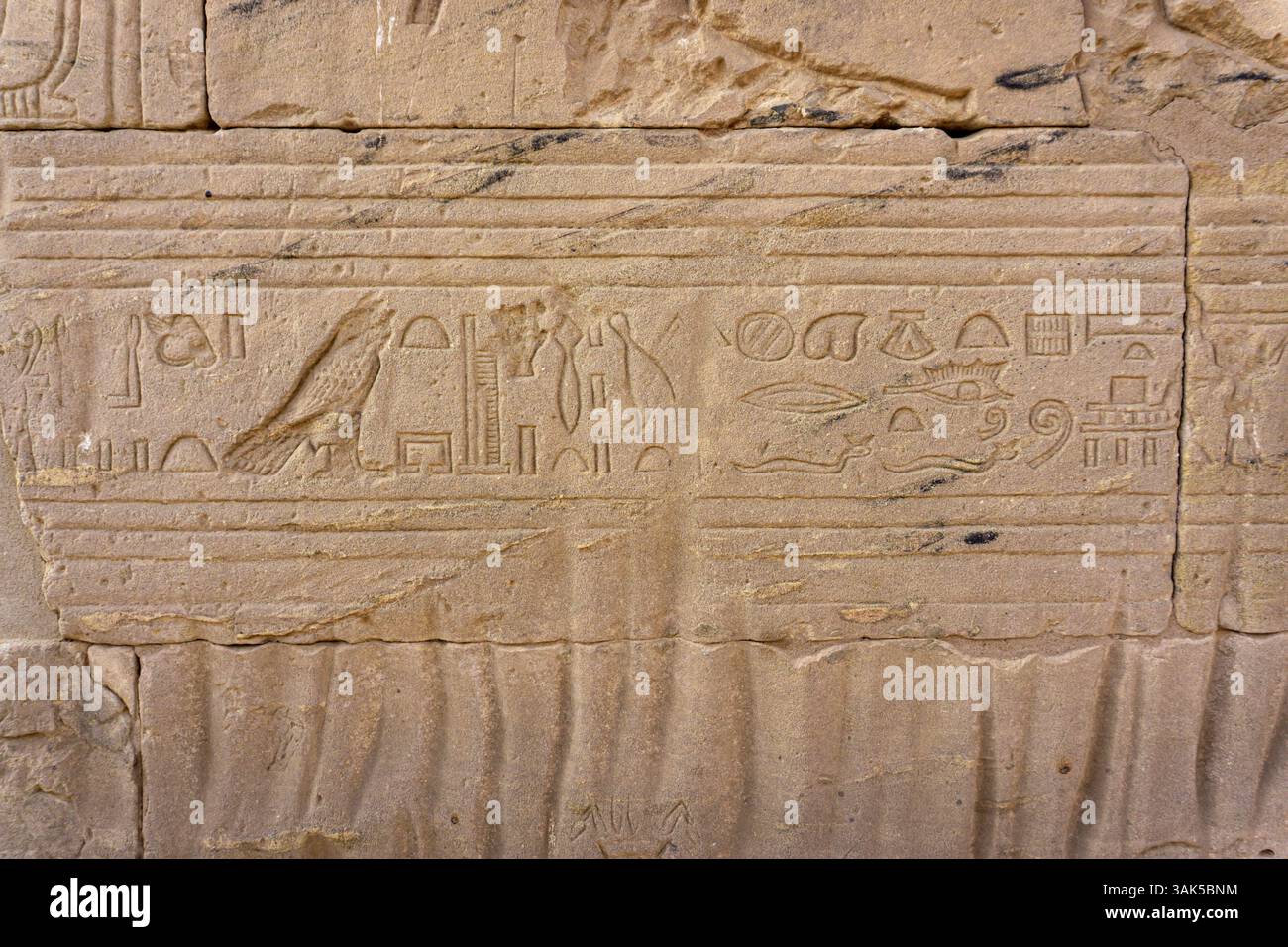 Detaillierte Ansicht der ägyptischen Hieroglyphen auf dem antiken Tempelstein mit traditionellen Inschriften, Mythologie und heiligen Symbolen in Ägypten Stockfoto