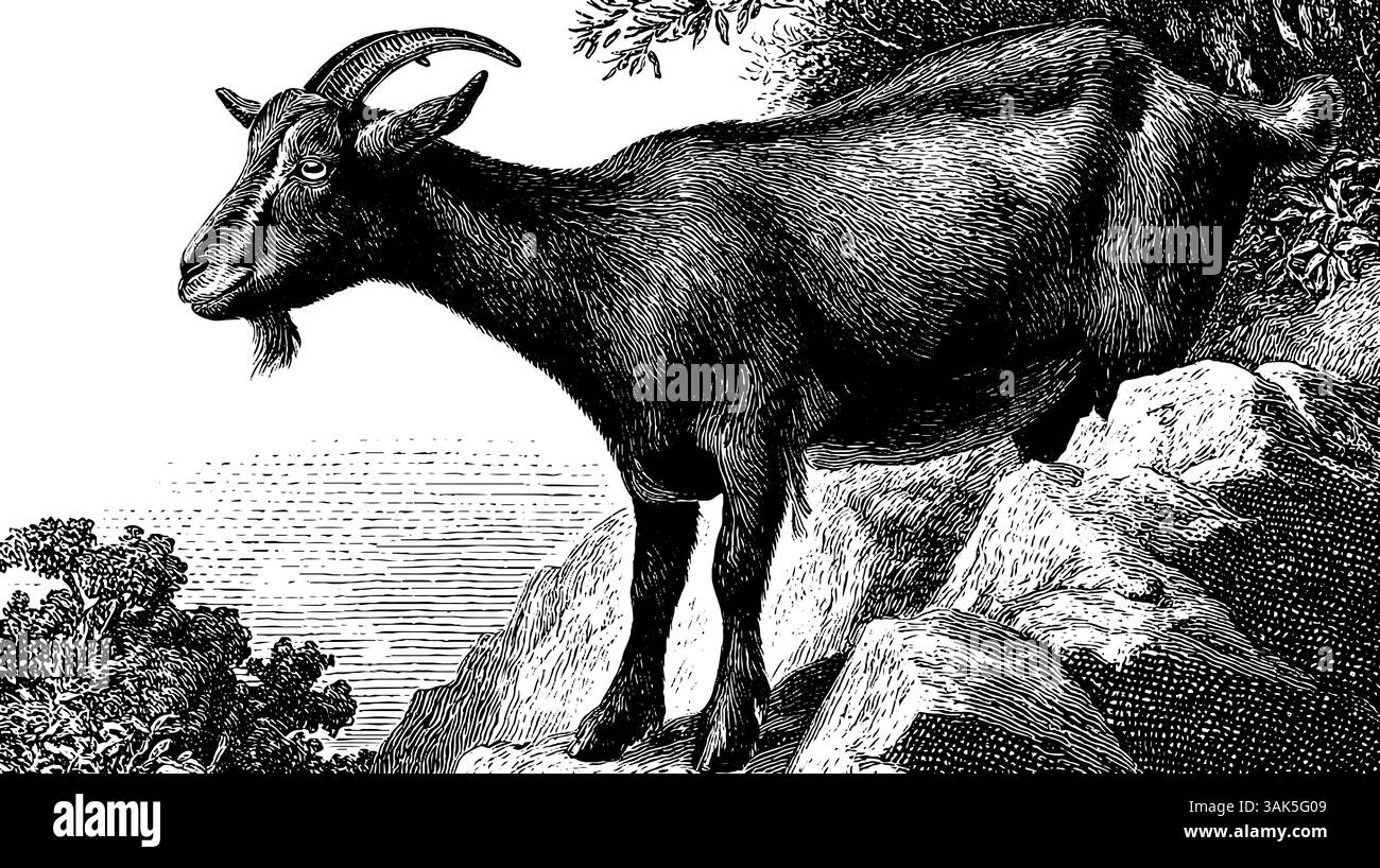 Skurrile Illustration eines Igels, der eine Weinflasche für ein einzigartiges Dekor umschließt. Stock Vektor