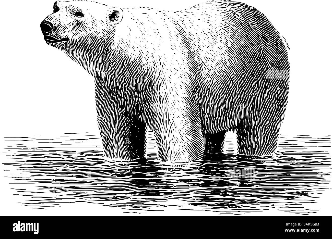 Schelmischer Waschbär stiehlt einen Donut - humorvolle Tierillustration. Stock Vektor