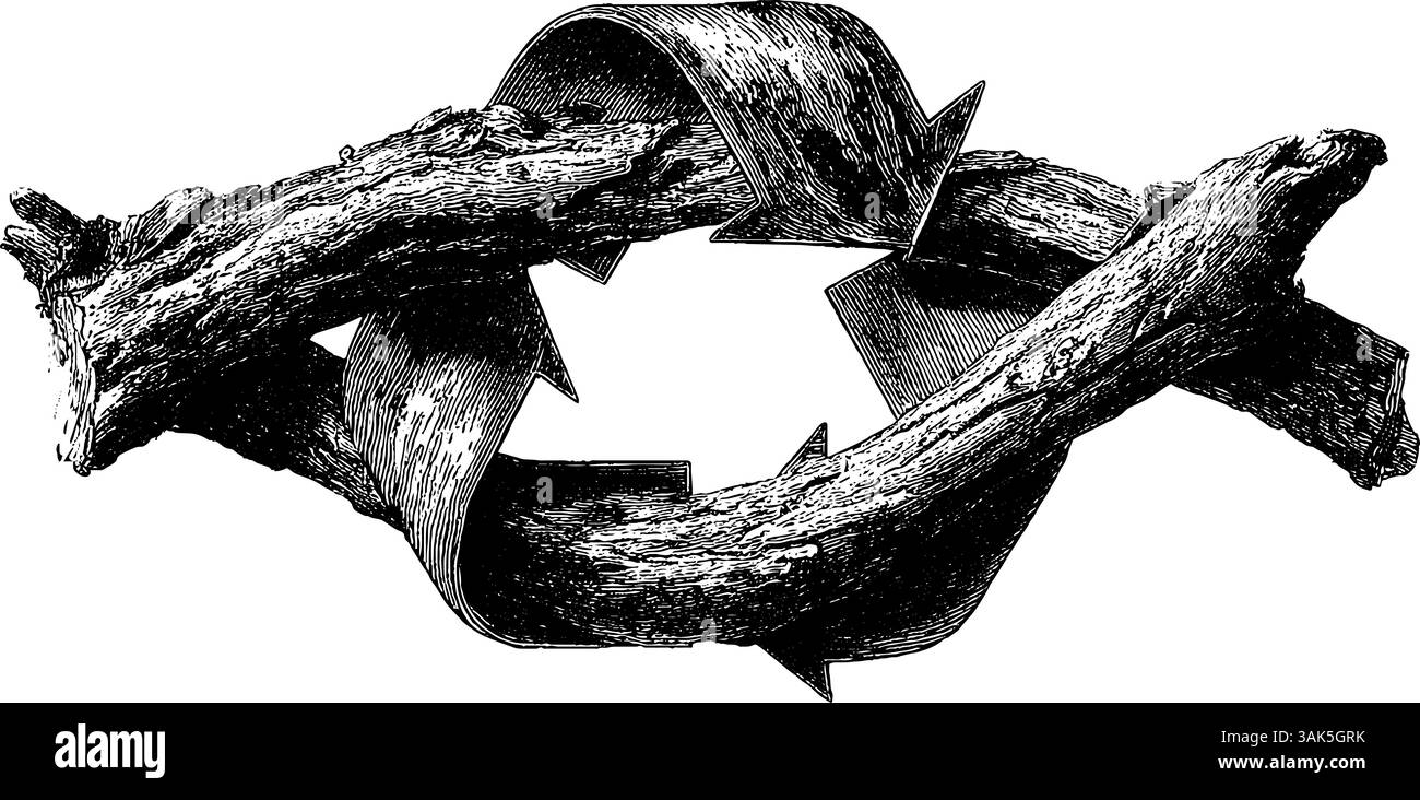 Kunstvoll eingravierte Schafsfigur mit lockiger Wolle für Vintage-Kunst-Dekor. Stock Vektor