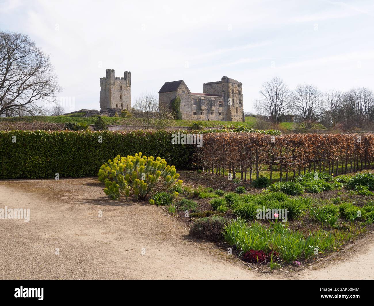 Helmsley Wall Garden Spring Stockfoto